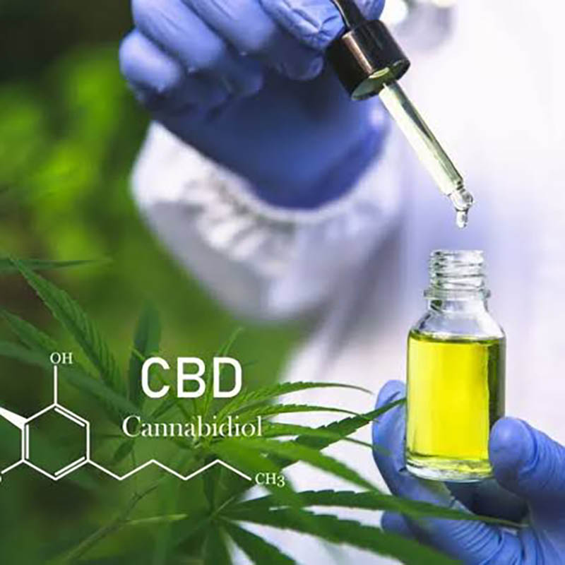 Habeas Corpus Preventivo para Cultivo de Cannabis (CDB)